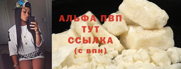 гашик Бежецк