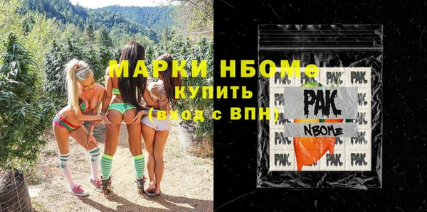 гашик Бежецк