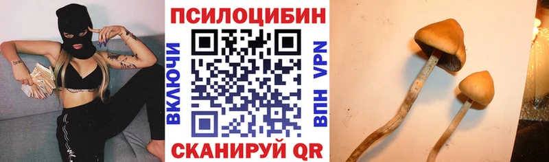 Псилоцибиновые грибы Cubensis  Купить закладки  Качканар 