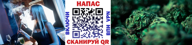 Купить закладки Качканар Конопля OG Kush